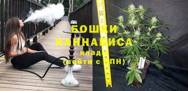 гидра Горно-Алтайск