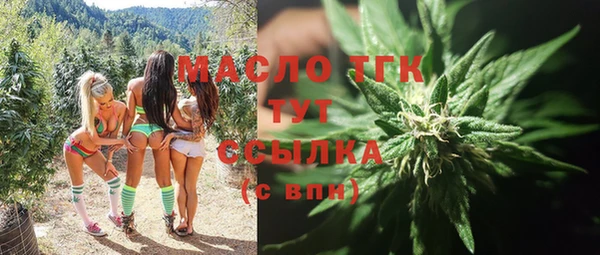 метадон Горняк