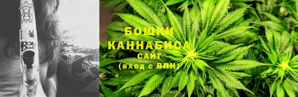 гидра Горно-Алтайск