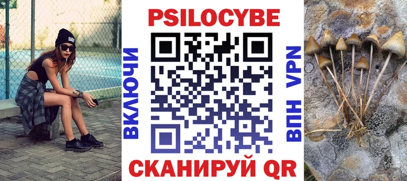 Псилоцибиновые грибы Psilocybine cubensis Купить закладки Североморск